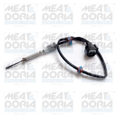 Sensor, exhaust gas temperature